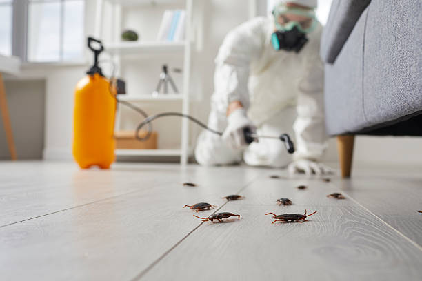 Commercial Kitchen Cockroach Control in Wilmington